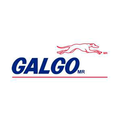 Galgo